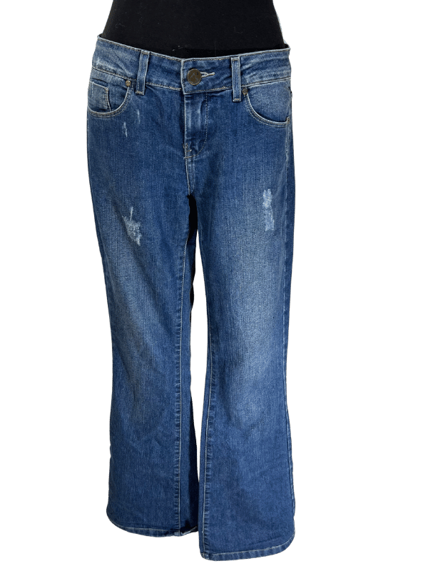 Calça Jeans Flare 284